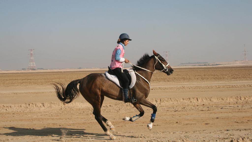 Dubai horse race winner 2012