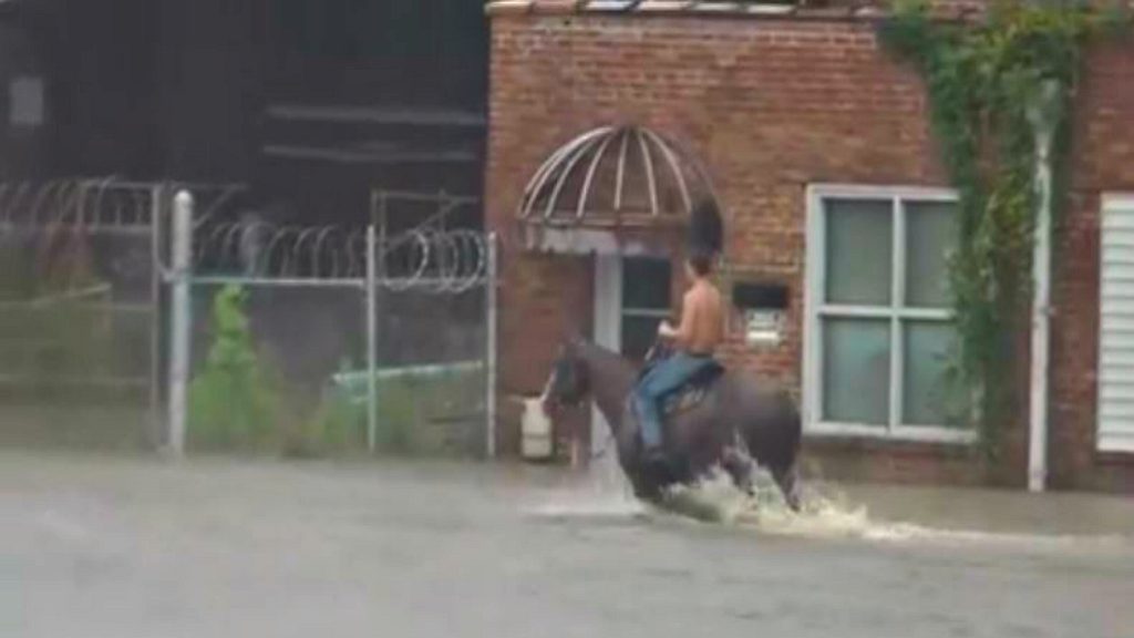 Live Camera Captures Brave Man Riding His Horse In Floodwaters To Check ...