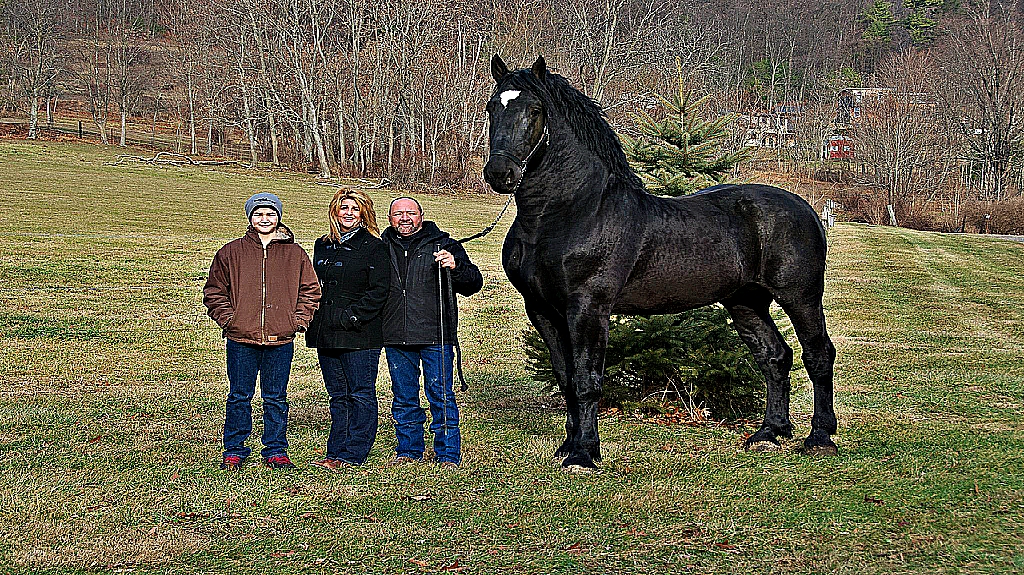 Biggest Horse