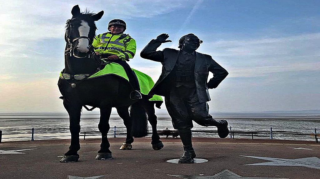 Accident Took The Life Of A Police Horse After A Football Match Horse