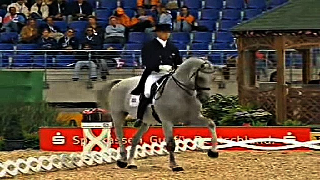 HipHop Dressage Got The Audience Hyped! Horse Spirit