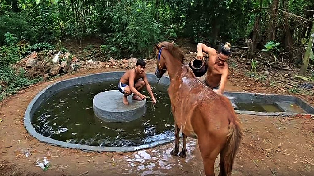 Building A Swimming Pool For Horses Is Easier Than It