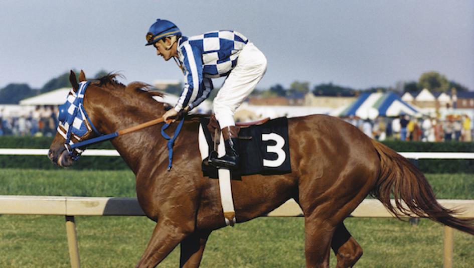 secretariat-the-unforgettable-heart-of-a-champion-horse-spirit