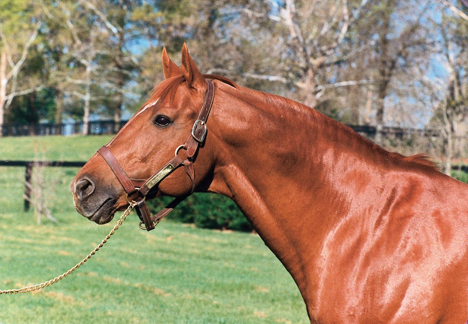 secretariat tour rouge