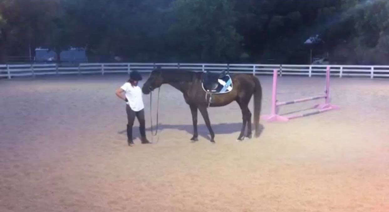 Bucking Horse Throws Off His Rider But Apologizes To Her Because He