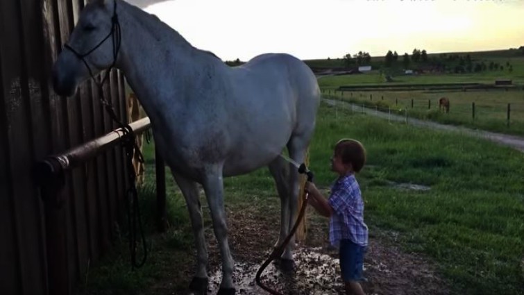 A Young Boy Shows Everyone How Much He Loves Horses Horse Spirit