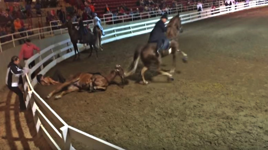 Tennessee Horse Throws His Rider Off Horse Spirit