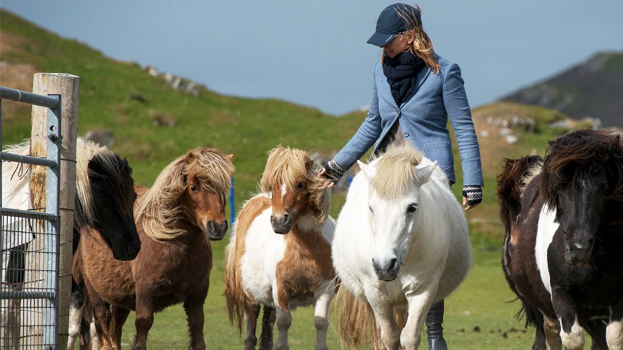 11 Interesting Facts You Didn't Know About The Shetland ...