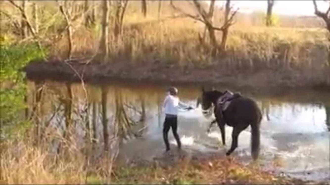 Scared Horse Turns His Biggest Fear Into His Most Enjoyable Activity