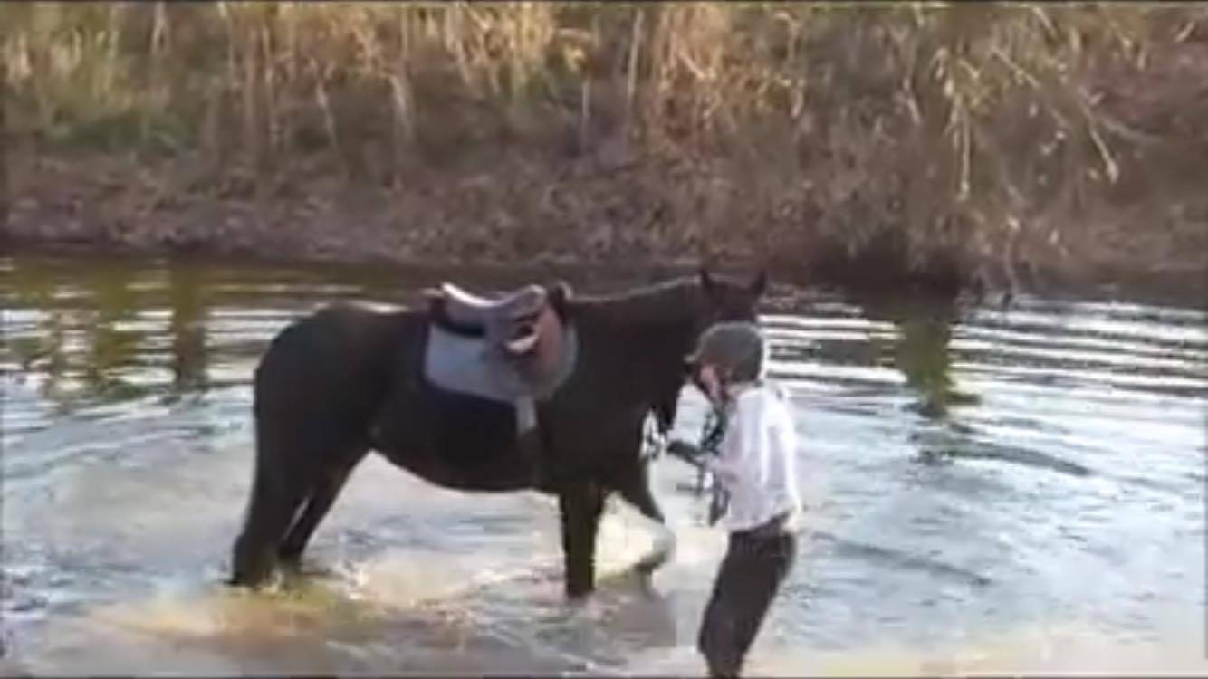 Scared Horse Turns His Biggest Fear Into His Most Enjoyable Activity